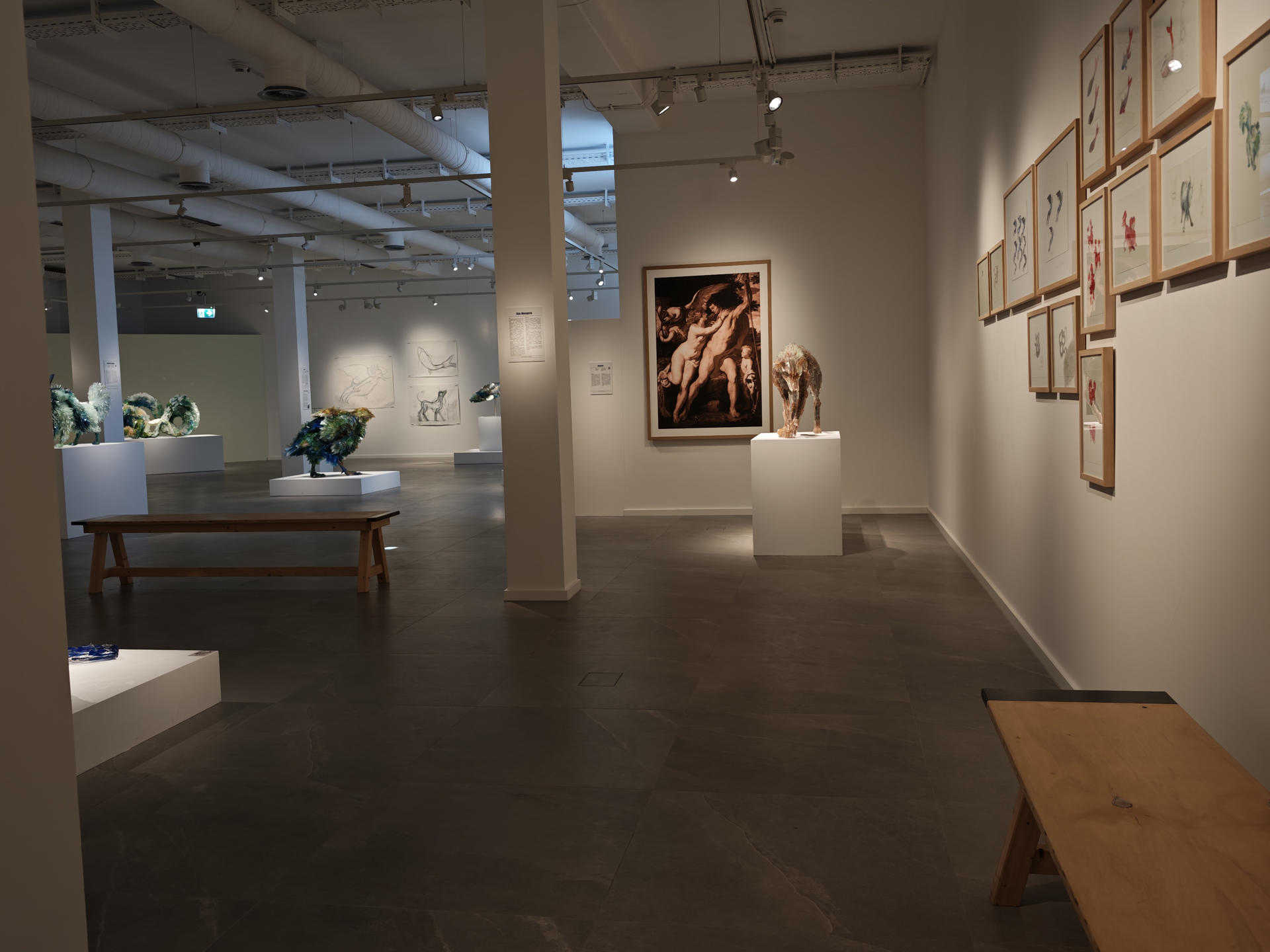 REISS-ENGELHORN-MUSEUM - Bild 5